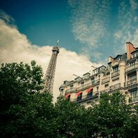 París no está para bromas: está haciendo tanto calor en verano que lo están convirtiendo en un bosque urbano sin espacio para los coches