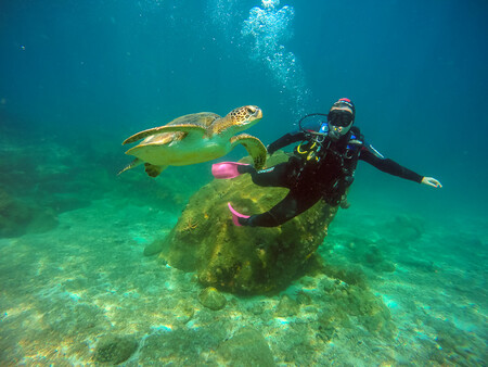 Aqua Marina Ilha Grande 12