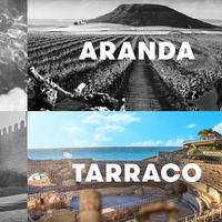 SEAT Tarraco. Así se llamaría el SUV de SEAT basado en el Skoda Kodiaq