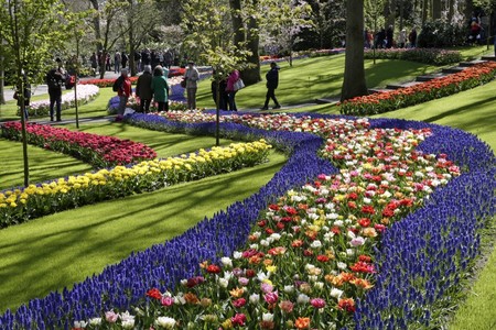 Keukenhof 2017 5