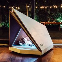 Ford crea una cabina aislante de sonidos para evitar que tu perro se asuste con los fuegos artificiales