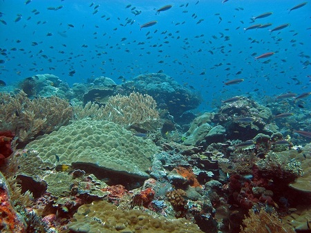Raja Ampat