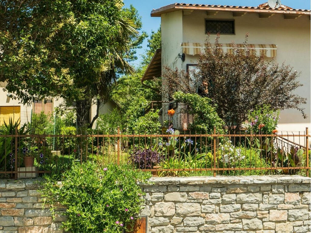 El árbol frutal ideal para pequeños jardines: no levantan el suelo, es fácil de mantener y tiene buena sombra