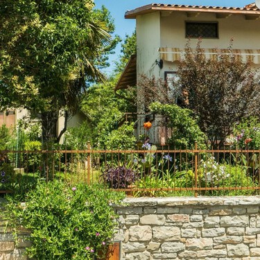 El árbol frutal ideal para pequeños jardines: no levantan el suelo, es fácil de mantener y tiene buena sombra 