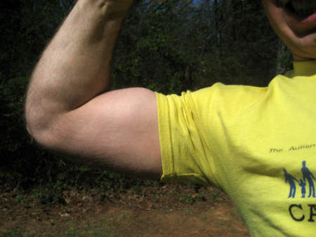 Beneficios de apoyar la espalda al entrenar bíceps