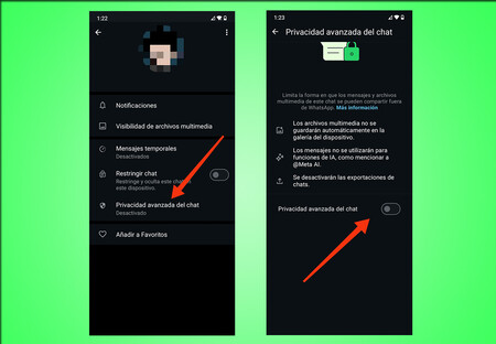 Privacidad Avanzada Whatsapp