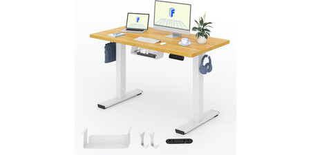 Escritorio Elevable Flexispot E1