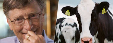 Bill Gates ha invertido parte de su fortuna contra un enemigo del planeta inesperado: los eructos de vacas