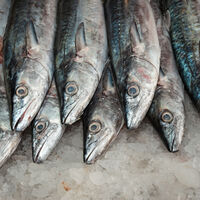 En México casi la mitad del pescado que se compra es “falso” y el gran problema es que no sabes qué estás comiendo 