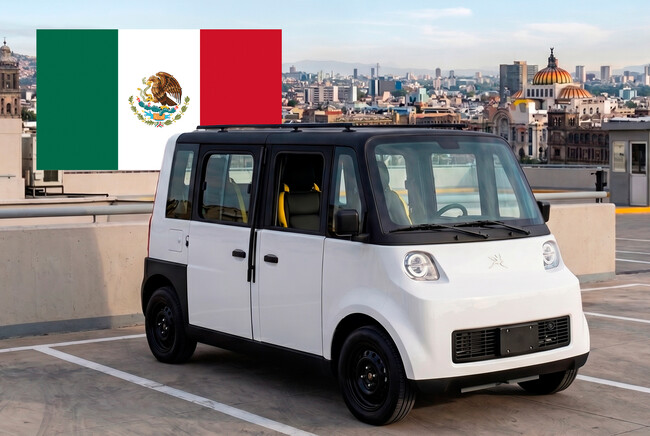 Olinia Mexico