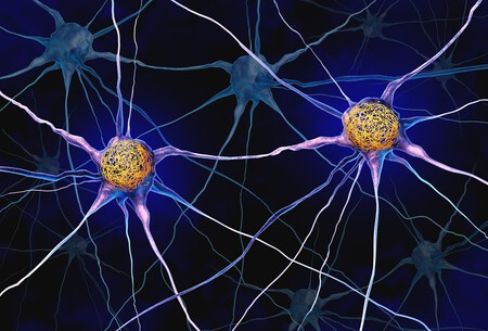 neuronios 2681525929