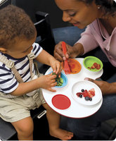 Bandeja Palette Plate para servir la comida del bebé