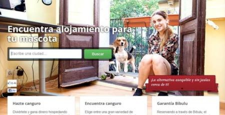 Bibulu, el "Airbnb de perros" para que nuestra mascota esté en buenas manos