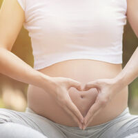 Una infección vírica de la madre durante el embarazo, como la Covid-19, no suele afectar al bebé y la ciencia explica por qué