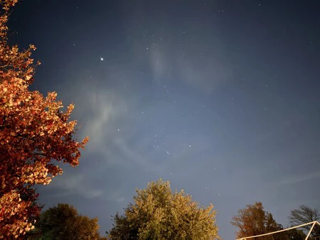 画像: トムのガイド