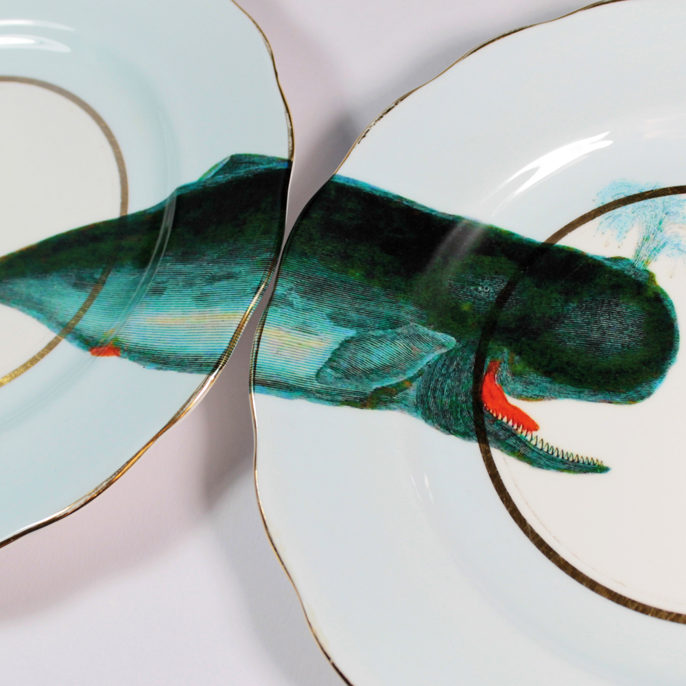 Foto de Yvonne Ellen (11/28)