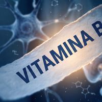 El día que la ciencia finalmente confirmó  "la descabellada" teoría de la vitamina B1. Tuvieron que pasar 67 años para lograrlo 