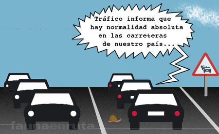 fauna en ruta: Semana Santa 2012