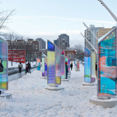 Foto 8 de 10 de la galería primatica-en-montreal-canada en Xataka