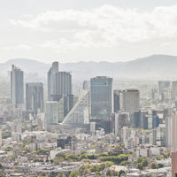 Se activa contingencia ambiental en CDMX. No hay cambios el programa Hoy No Circula