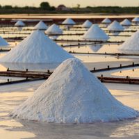 Desarrollan una solución económica que podría revolucionar el almacenamiento de energía: baterías cuya materia prima es la sal