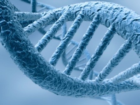 Las huellas de ADN de los libros: descifrando la humanidad en función de lo que escribe y cómo lo escribe (I)