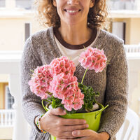Cinco plantas con flores ideales que hay que plantar esta misma semana en tu terraza si quieres disfrutar de unos colores alucinantes en primavera