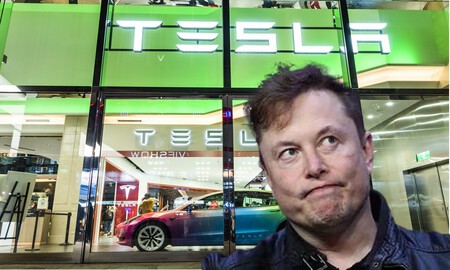 Tesla Blog Salmon
