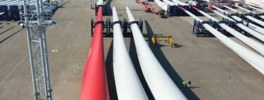 Los aerogeneradores tienen un problema con las aves. La solución que van a probar en el mar del Norte es tan simple como pintar una pala de rojo