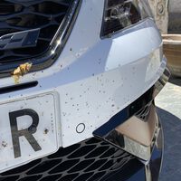 ¿Habías notado que cada vez mueren menos mosquitos aplastados en tu coche?, esta app lo confirma
