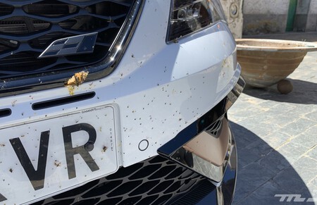 ¿Habías notado que cada vez mueren menos mosquitos aplastados en tu coche?, esta app lo confirma