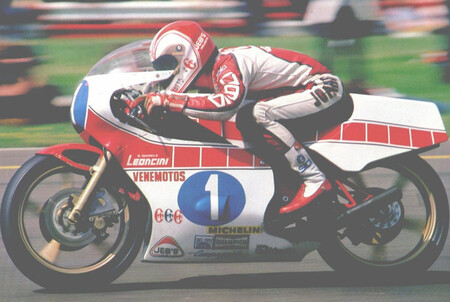 Cecotto F1
