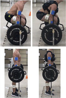 Articleviewerpreview 00124278 202410000 00005 F1