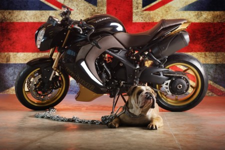 Triumph Speed Triple Vilner Bulldog 01