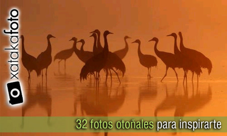 32 fotos otoñales para inspirarte