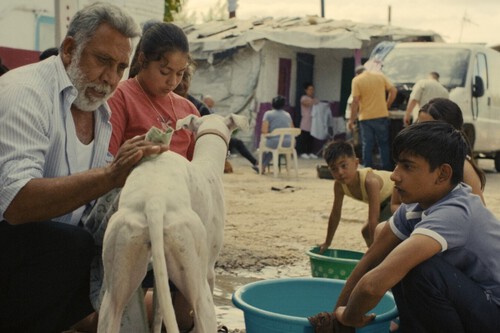 'Ciudad sin sueño' transforma el cine social en un apasionante y triste western sobre la pérdida