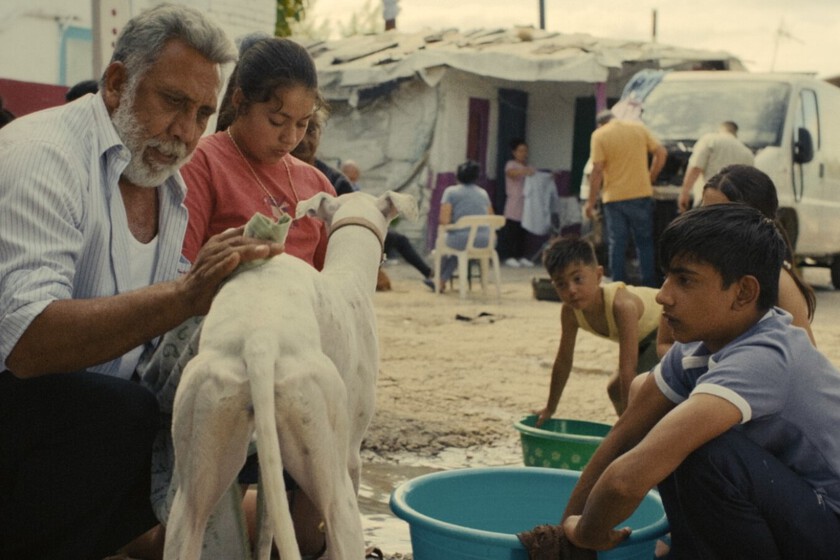 Ciudad Sin Sueño (2025), crítica. La película transforma el cine social ...