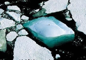 Cambio Climático: Compromiso de la Organización Mundial del turismo