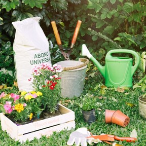 Estos son los trucos de jardinería para que las plantas sobrevivan al calor y la lluvia: ideales para agosto y septiembre 