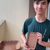 Adeus ao isopor: brasileiro de 14 anos cria a solução perfeita e biodegradável usando apenas casca de mandioca e galhos