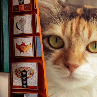 Lánzate este fin de semana al nuevo Museo del Gato: salas temáticas, videomapping y un recorrido inmersivo ideal para los amantes de los michis