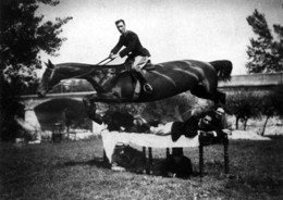 Los "caballos largos" no existieron