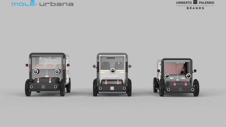 Mole Urbana 6