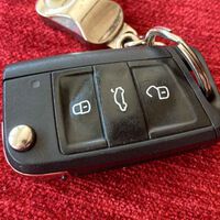 Un estudio dice que las llaves de tu coche están llenas de bacterias, y algunas podrían venir del intestino