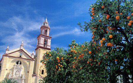 Iglesia algodonales