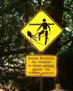 Jellyfish sign