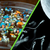 Científicos encuentran microplásticos en el semen y los ovarios: la contaminación plástica ya no solo esta en los océanos  