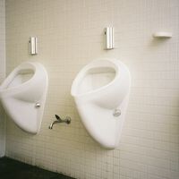 Os homens estão cada vez mais fazendo xixi em pé; o que diz a ciência? 