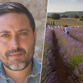 Brihuega lleva años atrayendo turistas a ver la lavanda, ahora el alcalde reconoce que hay demasiados: “El sábado pasado se colapsó el municipio”