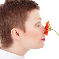 Cuando los minijobs, son la excusa perfecta para crear una gran cuenta de Twitter